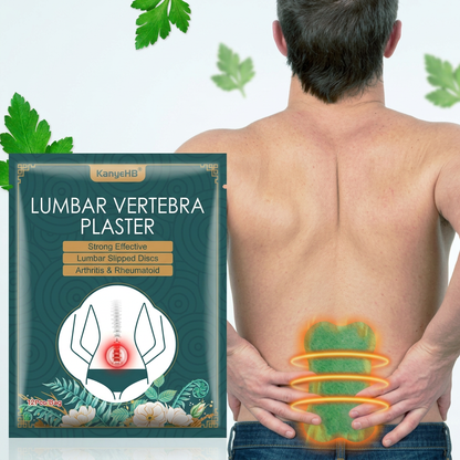 HeatPatch — Back Pain Herbal Patch (12 pcs)