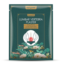 HeatPatch — Back Pain Herbal Patch (12 pcs)